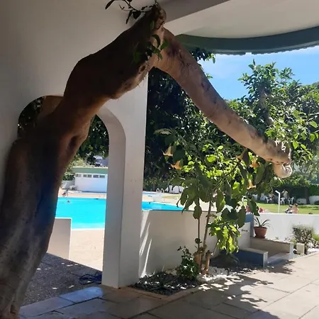 Da Avo Te - Em Frente A C Piscina Апартаменты