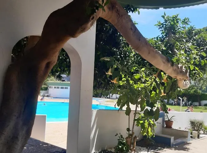 Da Avo Te - Em Frente A C Piscina Lägenhet