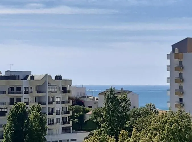 Lägenhet Da Avo Te - Em Frente A C Piscina *