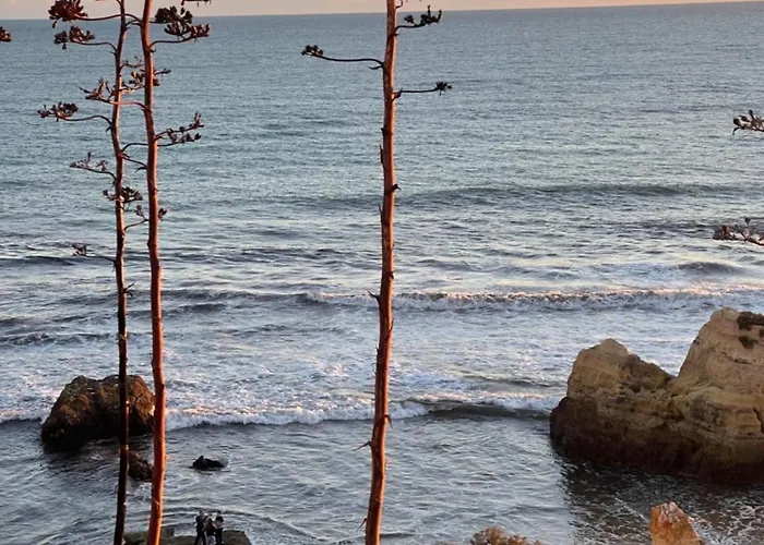 Da Avo Te - Em Frente A C Piscina Portimão
